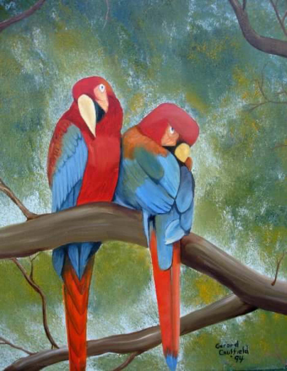 Original oil painting of two colorful macaws by Gerard Caulfield