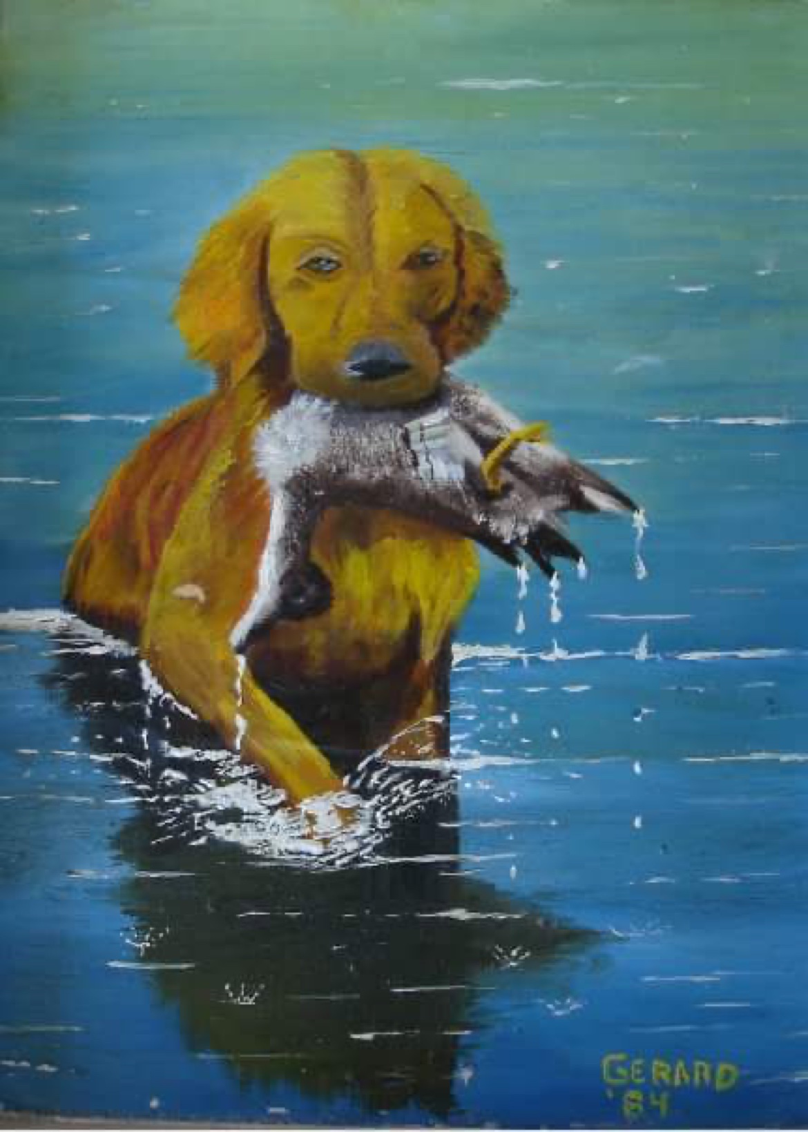 Original oil painting of a retriever carrying a duck by Gerard Caulfield