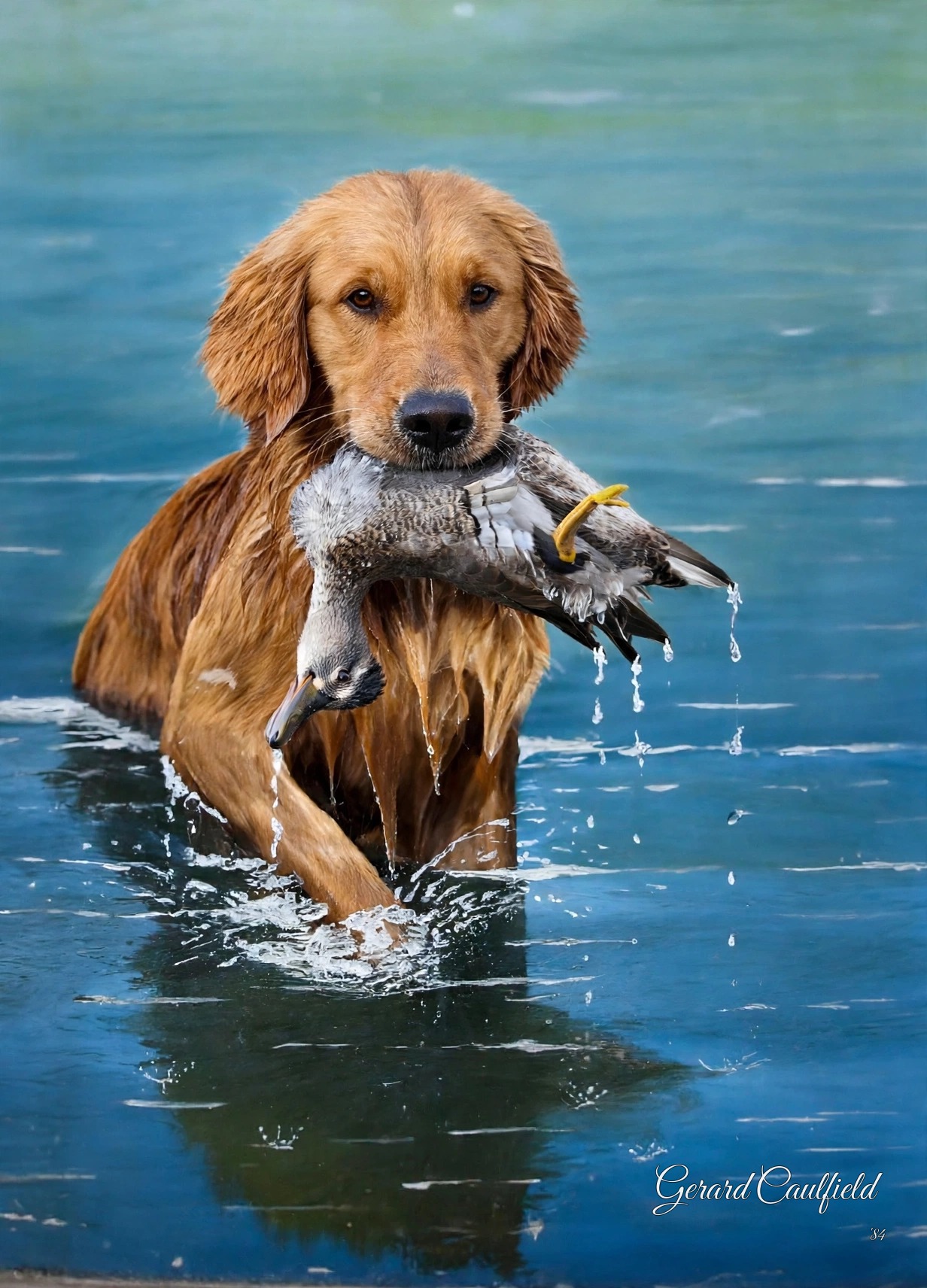 Signed realistic Art to AI version of a retriever carrying a duck through water