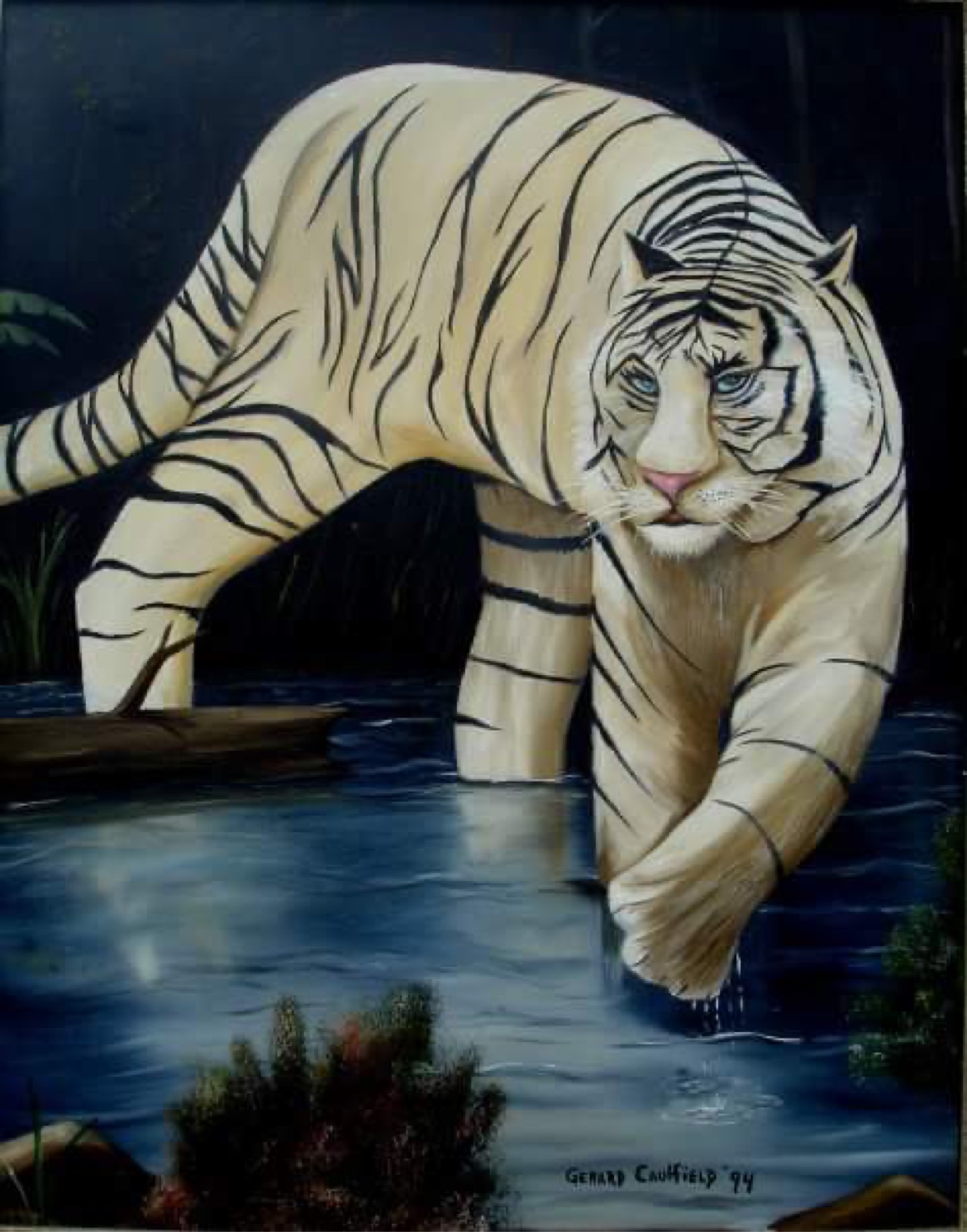 Original oil painting of a white tiger wading through water by Gerard Caulfield