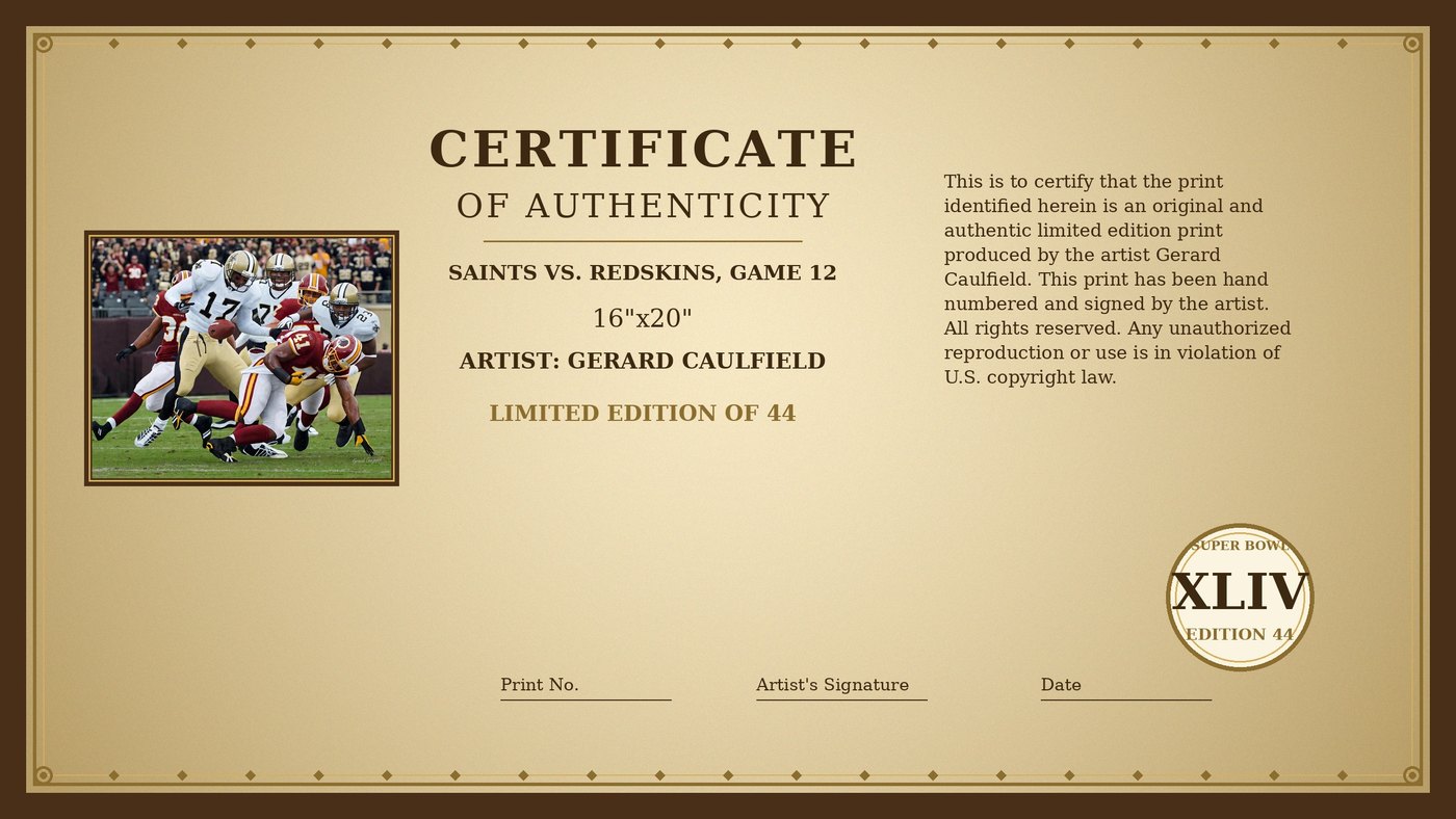 Certificate of Authenticity for Saints vs. Redskins, Game 12 by Gerard Caulfield
