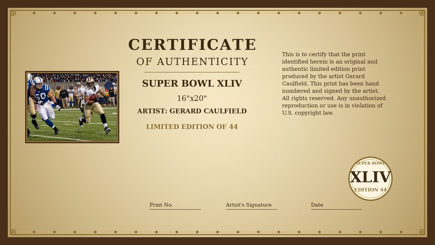 Certificate of Authenticity for Super Bowl XLIV by Gerard Caulfield