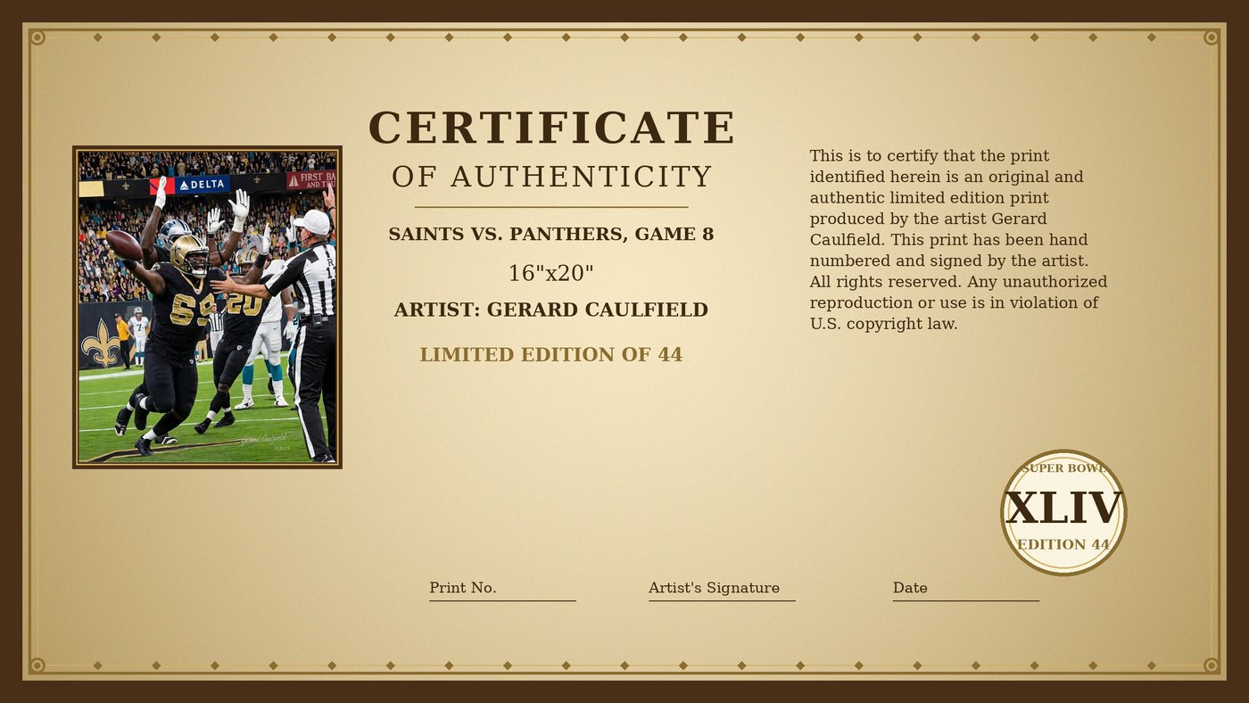 Certificate of Authenticity for Saints vs. Panthers, Game 8 by Gerard Caulfield